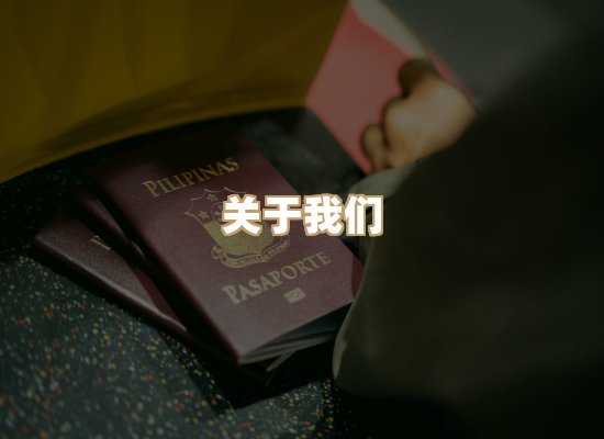 关于至岚排版网